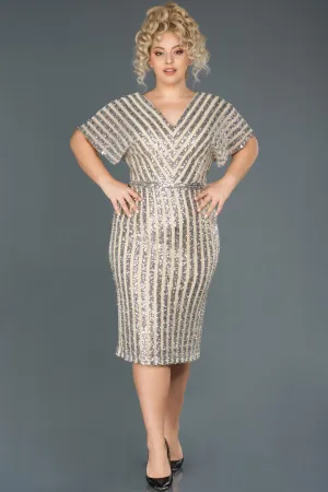 14733 Gold-Silvery Sequined Sheath Dress