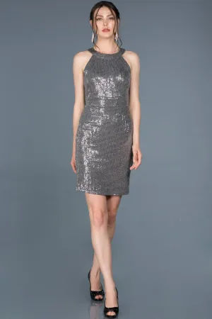 14909 Silver Sequined Dress