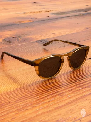 "Timeless" Sunglasses in Horn