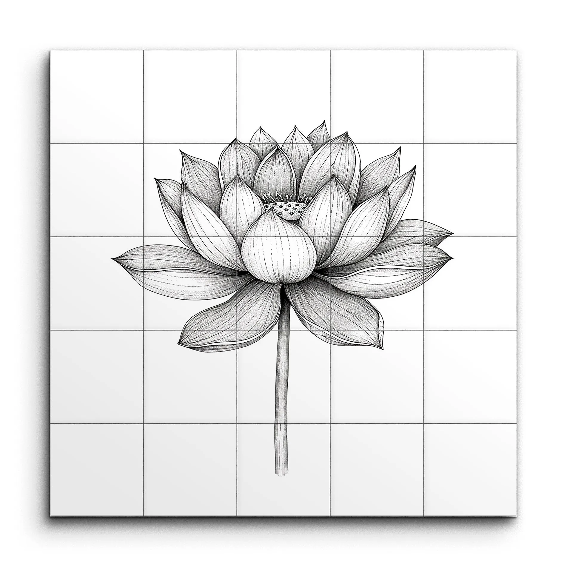 Timeless Lotus Botanical Illustration