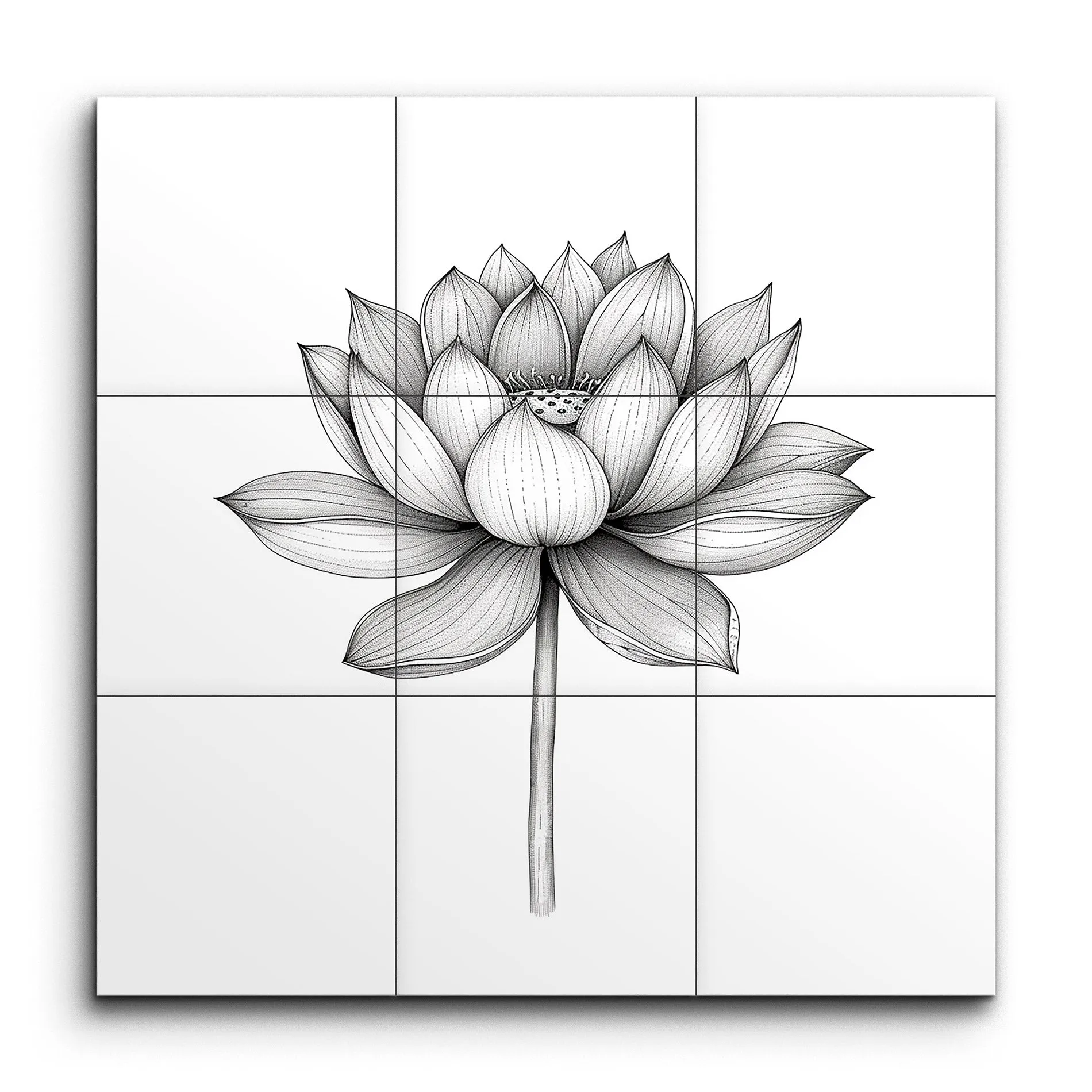 Timeless Lotus Botanical Illustration