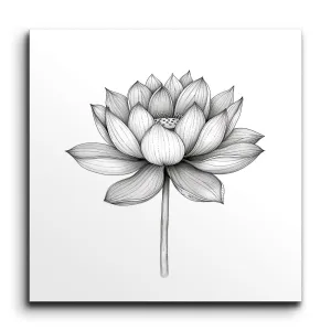 Timeless Lotus Botanical Illustration